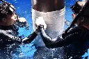 Subsea VE Wrap 01.webp