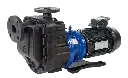 image (6).webp