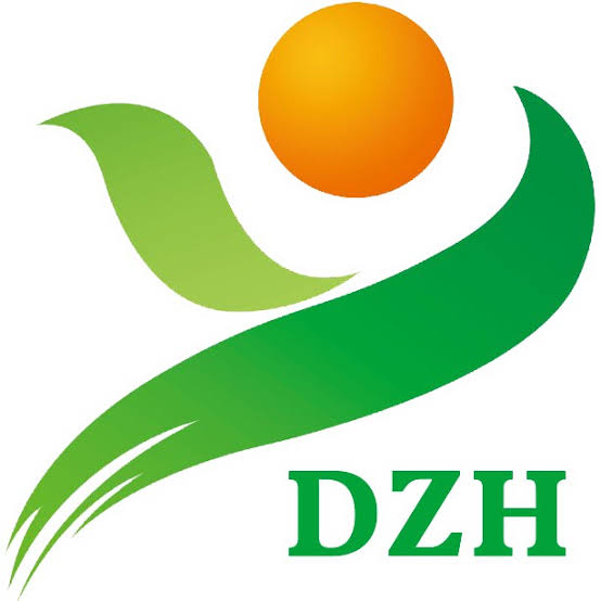 zhu hong.jfif